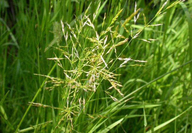 21 113 Soil Building Cover Image 2