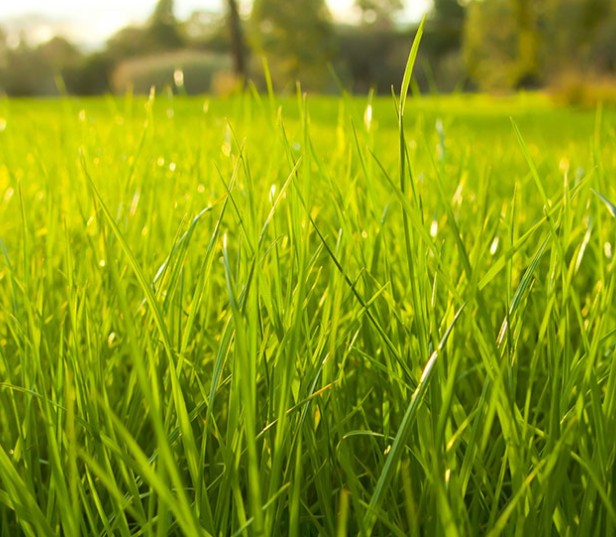 22 111 2 Yr Stabilization Image 3