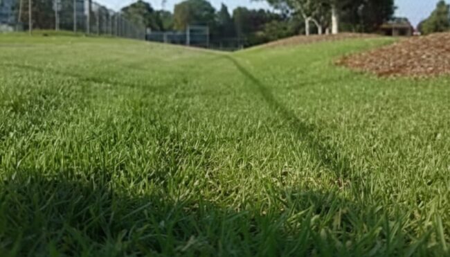 33 361 Stormwater N.e. Image 1