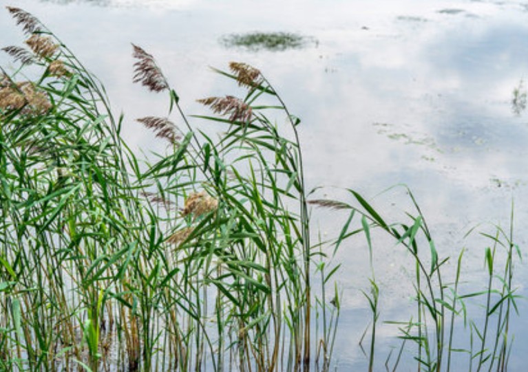 34 371 Wet Meadow Ne Image 1