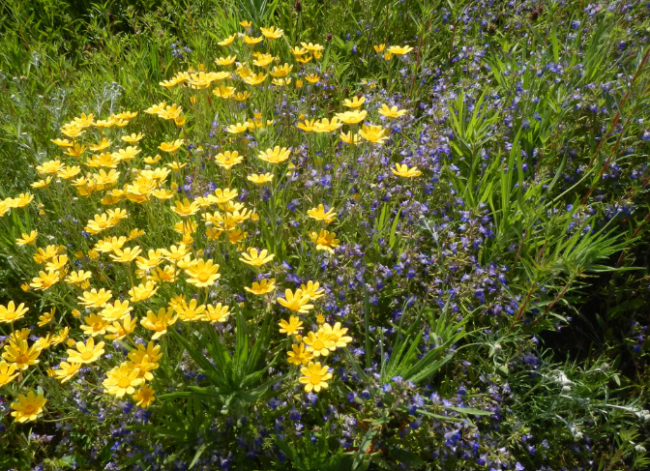 35 521 Dry Prairie Sw Image 1