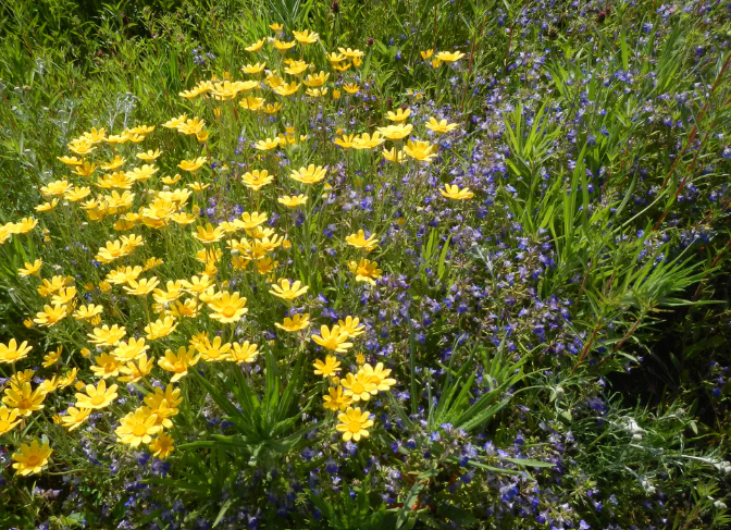 35 521 Dry Prairie Sw Image 1