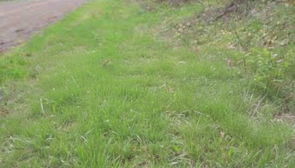 36 311 Woodland Edge Ne Image 2