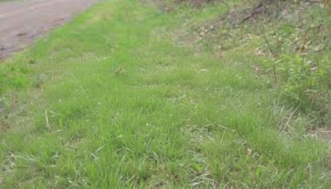 36 311 Woodland Edge Ne Image 2