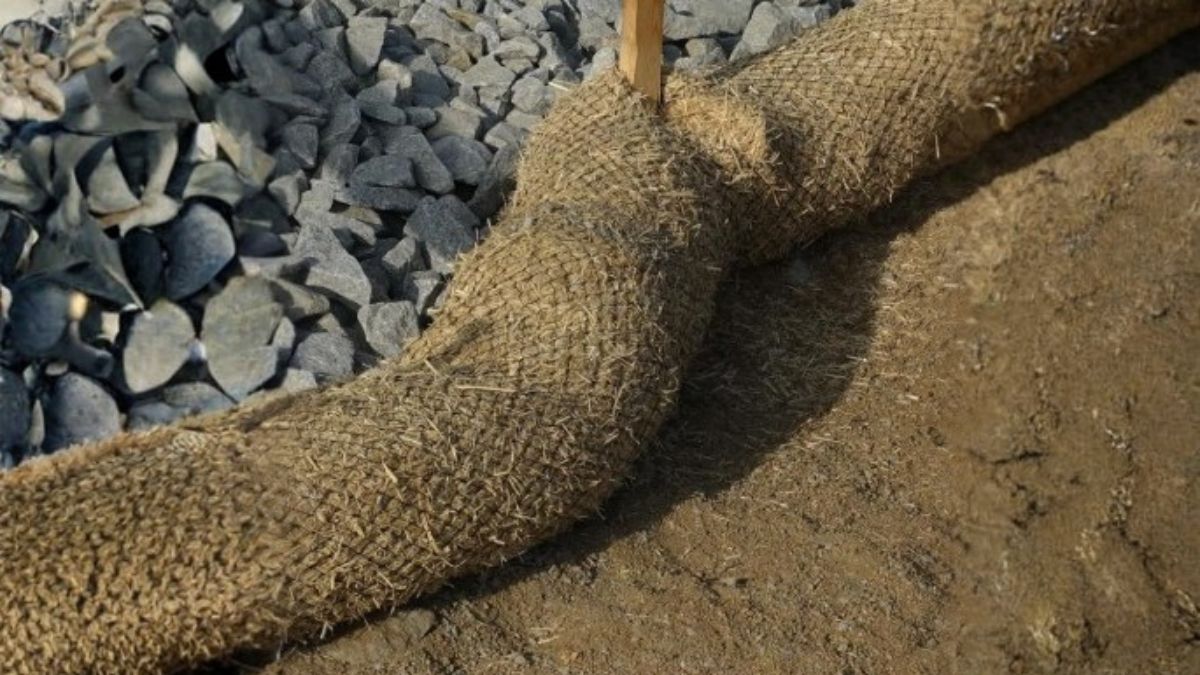 6 Straw Wattle Image 2