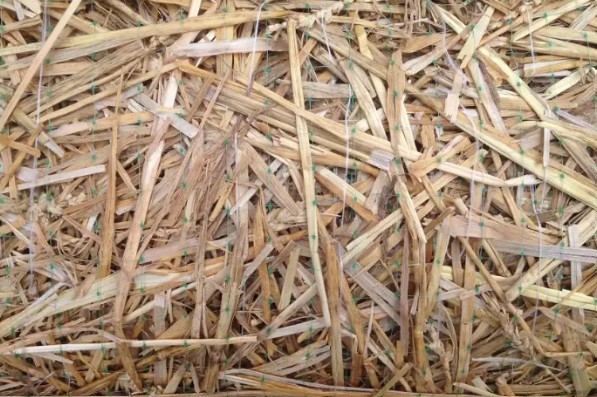 Eg 2s Nn (natural Net) Straw Blanket Image 1