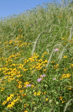 Erosion Control Mix Image 1