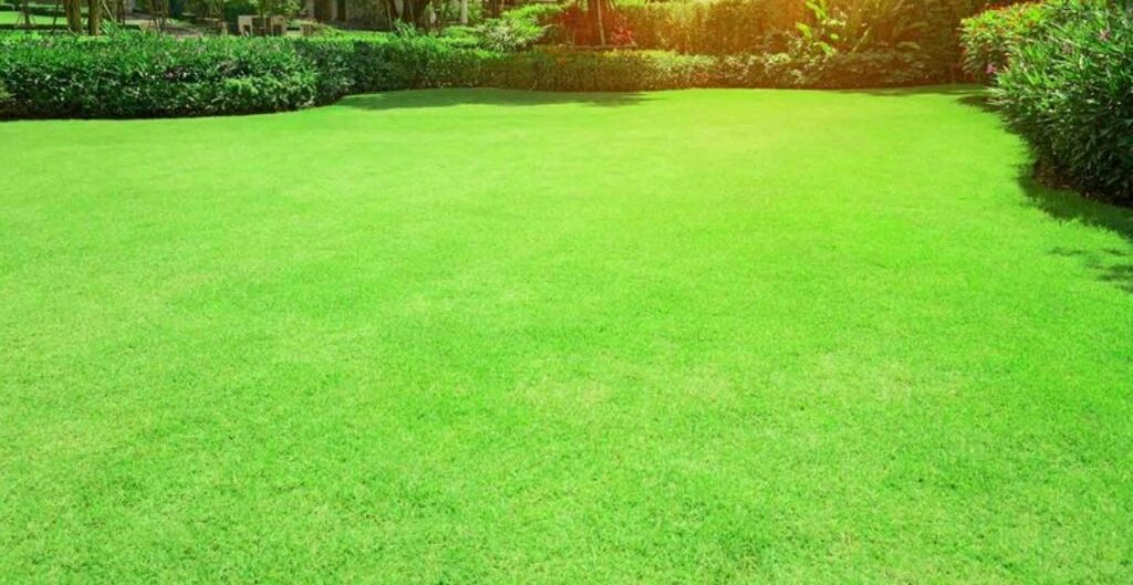 Grounds Crew All Purpose Landscape