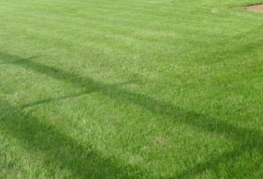 Proseeder Commercial Sun And Shade