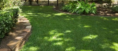 Shady Way Full To Partial Shade Image 1