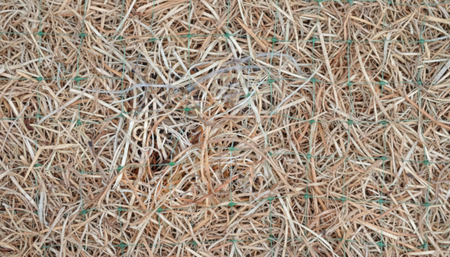 EG 2X NN (Natural Net) Aspen Wood Fiber Blanket