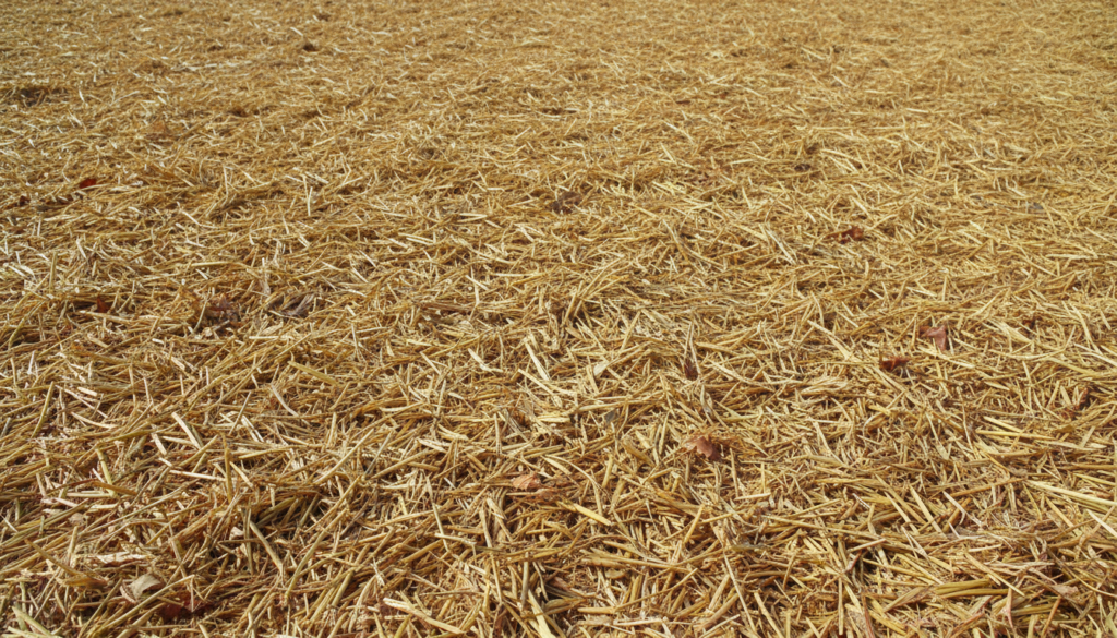 EG-2p12 LONG TERM / PERMANENT 100% POLYPROPYLENE