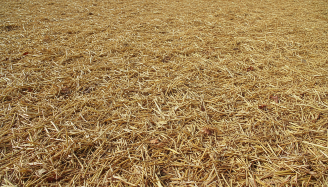 EG-2p12 LONG TERM / PERMANENT 100% POLYPROPYLENE