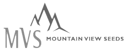 Logo Mvs