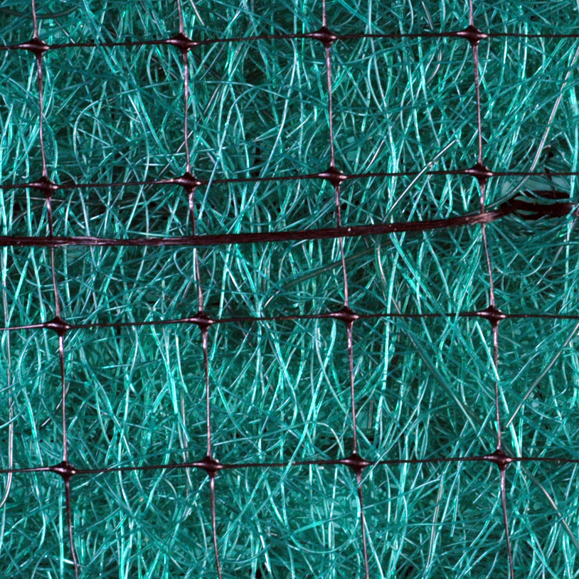 Polypropylene